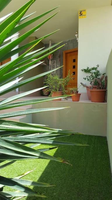 شقة Atlantic Star - Duplex With Ocean Views بويرتو ديل روزاريو المظهر الخارجي الصورة